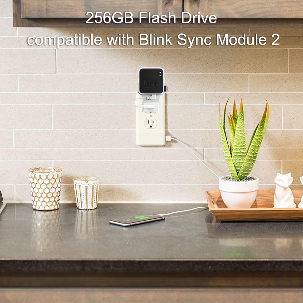256GB Blink USB Flash Drive, with Outlet Wall Mount for Sync Module, Space-Saving Mount Bracket Holder for Blink Outdoor/Indoor Security System (Sync