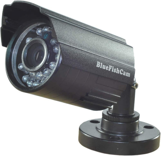 BlueFishCam Color CCTV Camera Wide Angle Lens 2.8mm CMOS 1000TVL 24 LED Infrared Waterproof Security Camera with IR-Cut Day/Night Vision