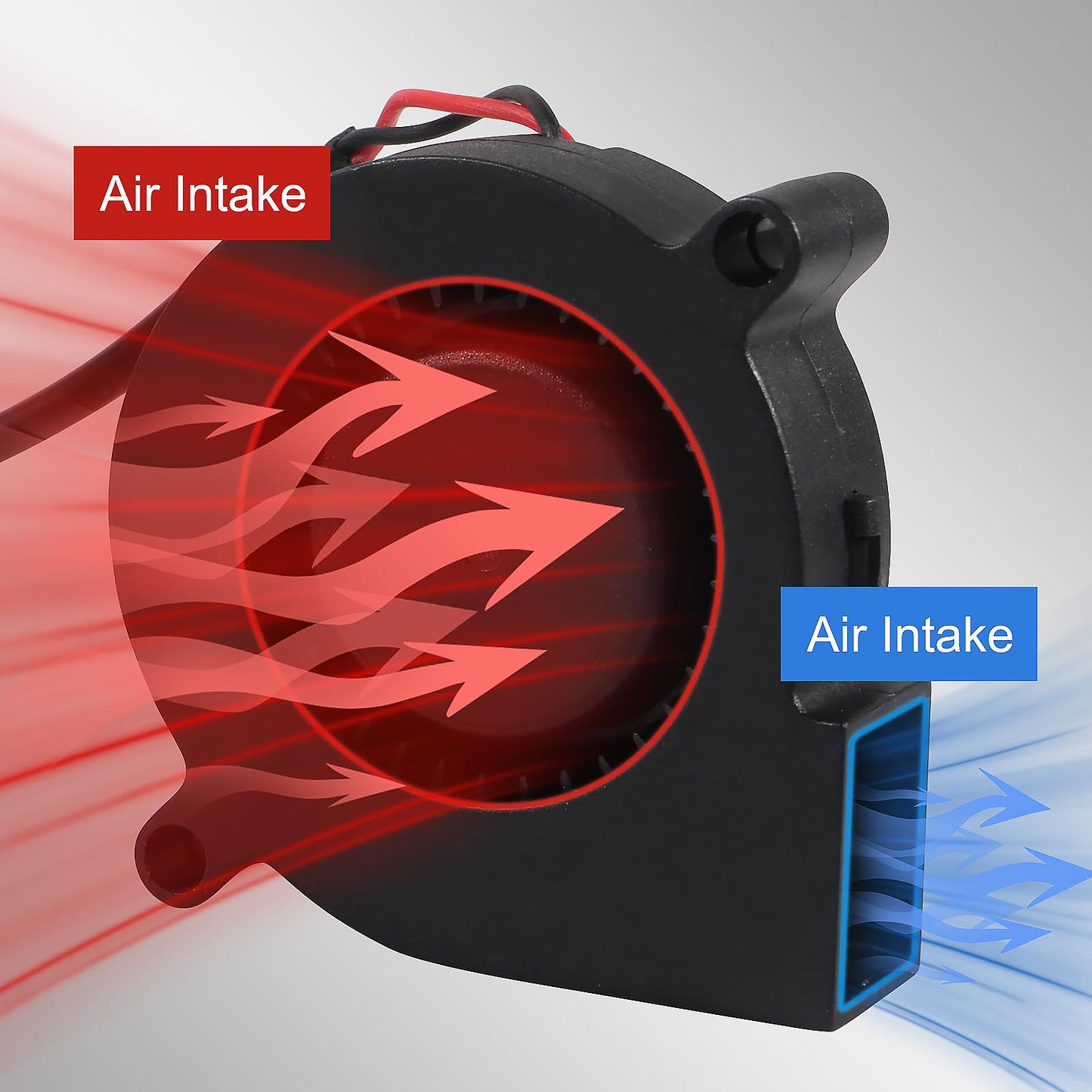 Fan 6pcs