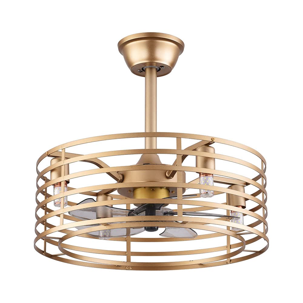 NOLANTISI 20 Inch Caged Ceiling Fan with 3 Speeds Adjustable Light Remote Control, Gold Modern Ceiling Fan Light with 5 Enclosed Blades, Quiet Ceiling