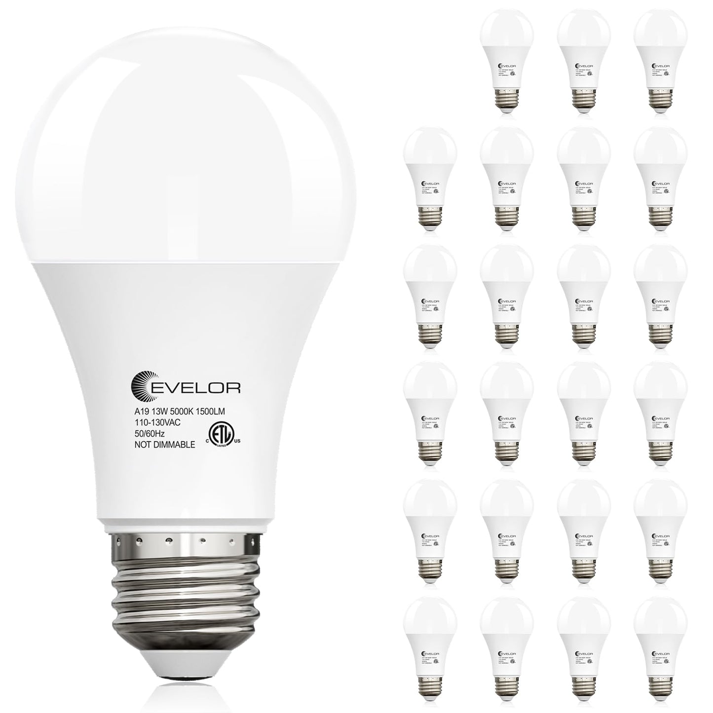 evelor A19 LED Light Bulbs,100 Watt Equivalent,Daylight 5000K,24-Packs