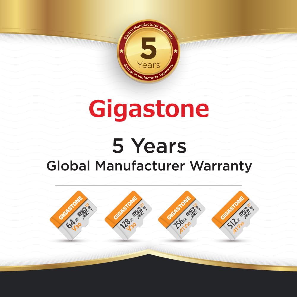 GIGASTONE 64GB Micro SD Card 2-Pack, V30 4K Video Recording, Surveillance, Security Camera, Dash Cam, Drone, 95MB/s MicroSDXC Memory Card UHS-I Class