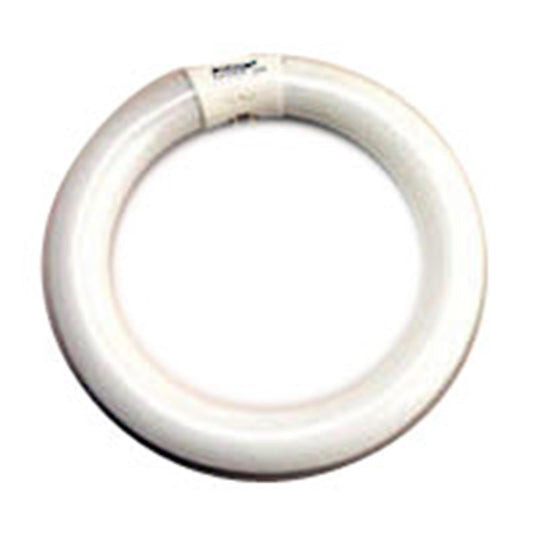 Eiko FC8T9/CW Cool White Circline Halogen Bulb (12-Pack), 22 Watts, G10q Base, T-9 Bulb, 8.25"/215mm MOL, 1100 Approx Initial Lumens, 825 Approx Mean