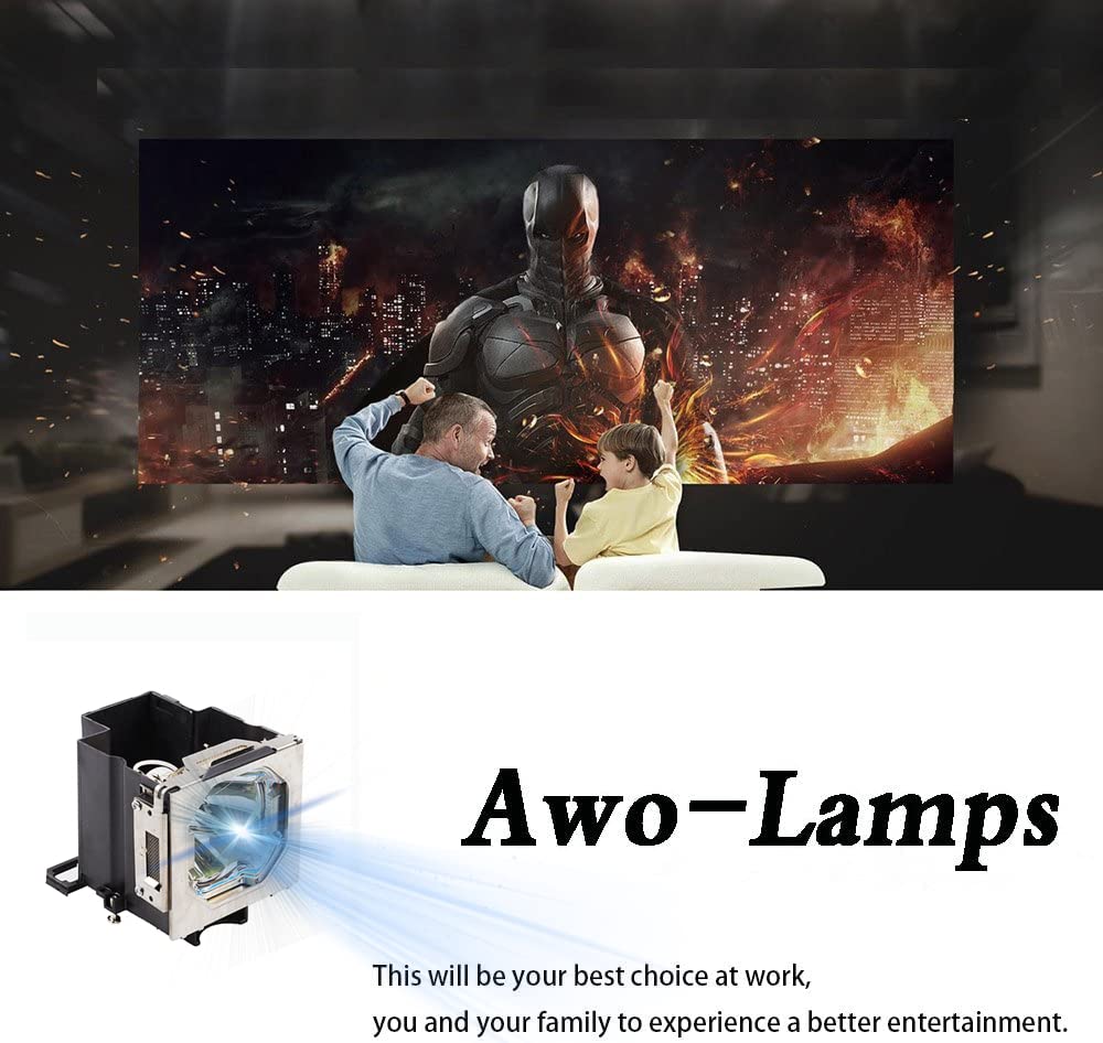 AWO 003-120598-01 Premium Replacement Lamp Bulb with Housing for Christie L2K1000