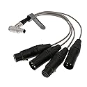 Uonecn 10 Pin Male Plug to 4 XLR 3 Pin Breakout Audio Input Output Cable for Atomos Shogun Monitor Recorder Audio Splitter 30cm