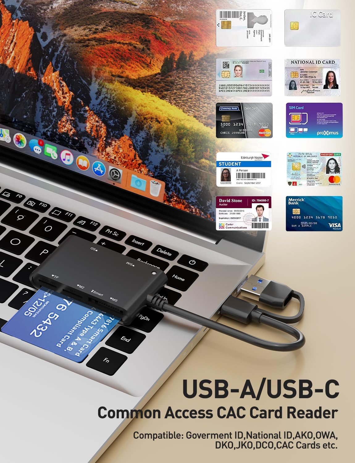 Type C/USB SIM Card Adapter - 7 in 2 CAC Smart Card Reader Military, MS Pro Duo/SD/TF/M2/ID/IC/PIV/SIM Card Reader, Memory Stick Pro Duo Adapter SIM