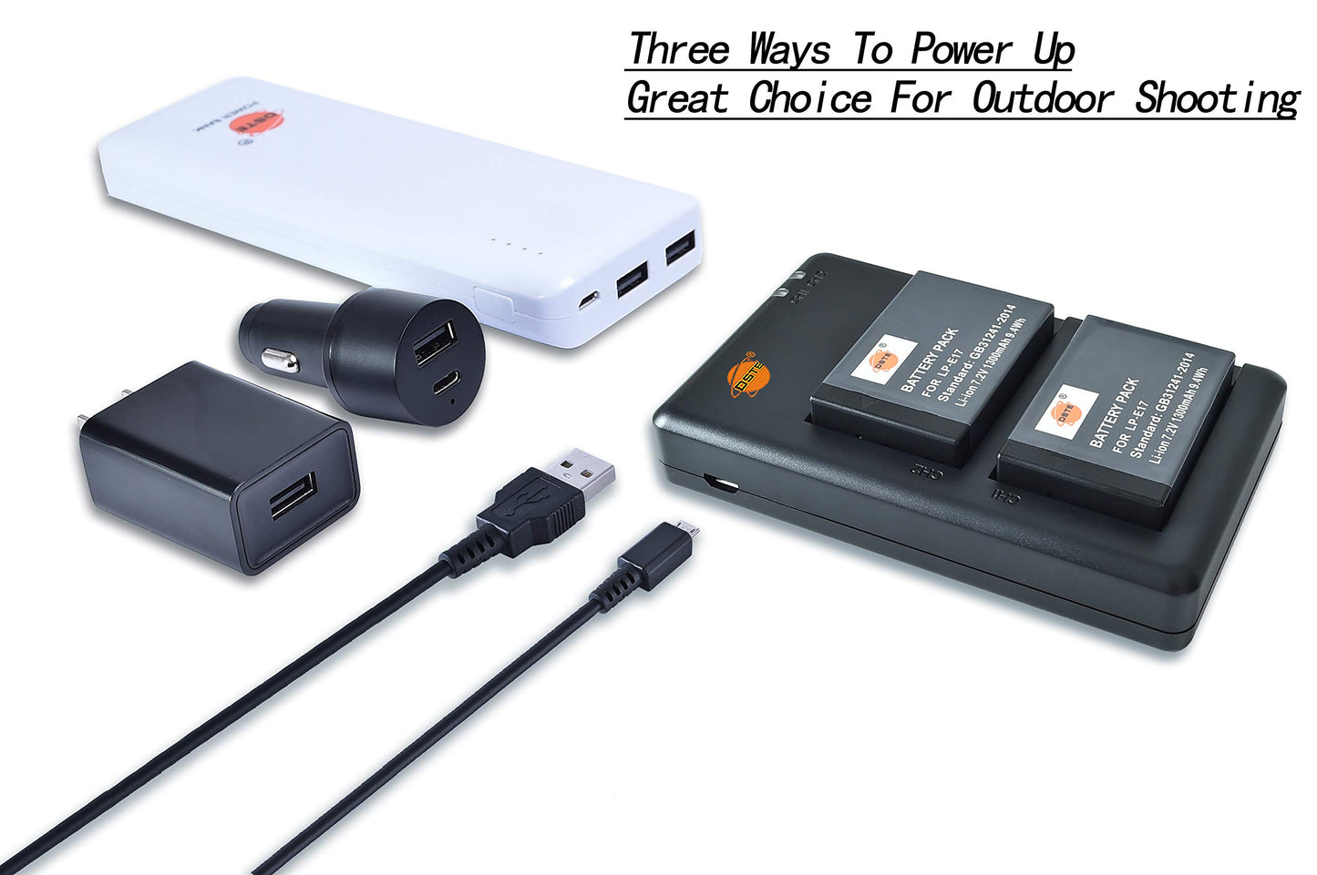DSTE LP-E17 Battery Charger Compatible with Canon LP-E17 Battery and EOS Rebel T7i, T6i, T6s, SL3, SL2, 77D, 9000D, 8000D, 800D, 760D, 750D, 200D, M6