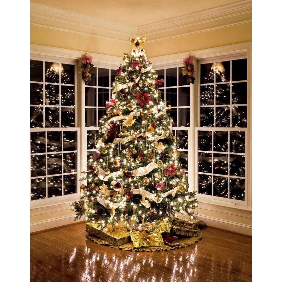 Novelty Lights 22 Feet 100 Bulbs Traditional Incandescent Mini Lights, Clear on Green Wire with 2.5" Spacing, Commercial Grade and UL Listed