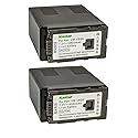 Kastar 2-Pack VW-VBG6 Battery Replacement for Panasonic VW-VBG6 VW-VBG6GK VW-VBG6-K VW-VBG6PPK CGA-E625 Battery, DE-A38, VSK0631, VSK0698 Charger