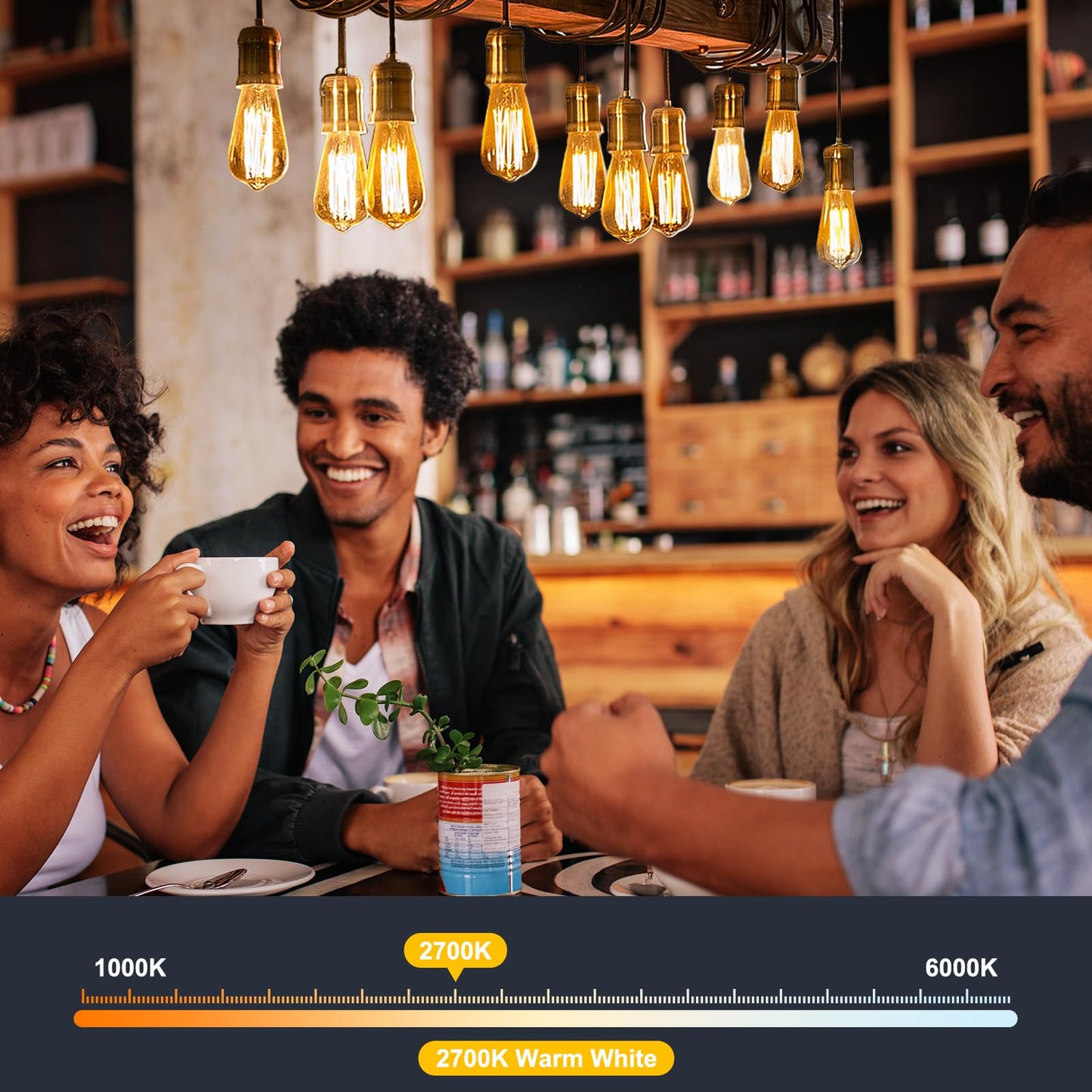 Brightown 4Pack Edison Light Bulbs, E26 Base 2700K Warm White,Non-Dimmable