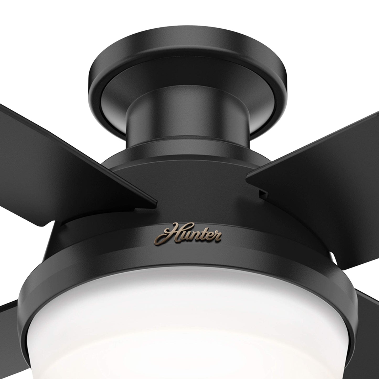 Hunter Fan 44 inch Low Profile Matte Black Indoor/Outdoor Ceiling Fan with Light Kit and Remote Control for Bedroom, Living Room, Dining Room