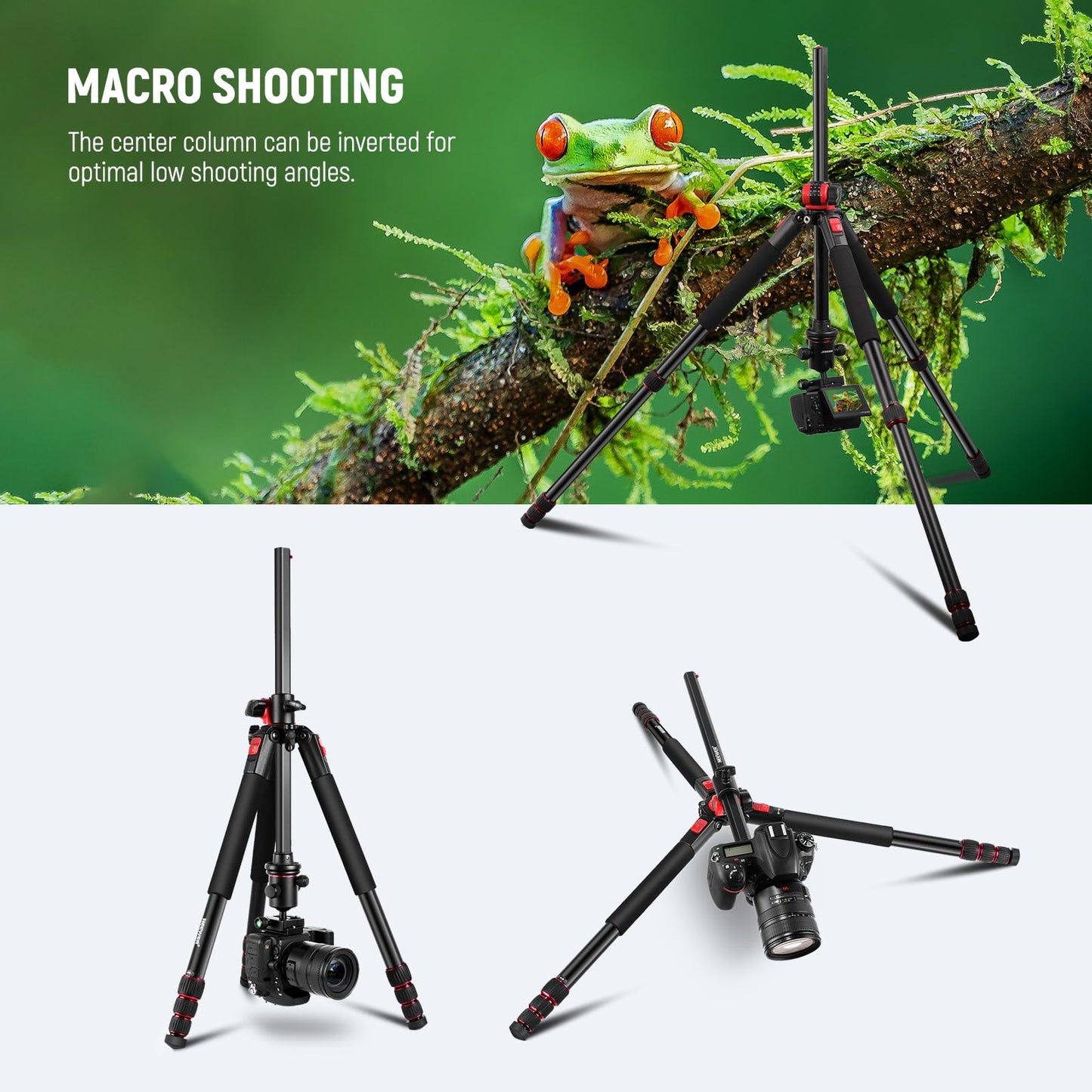 NEEWER 79 inch Camera Tripod Monopod with Center Column and Ball Head Aluminum, Arca Type QR Plate, Bag, Horizontal Tripod Overhead Camera Mount