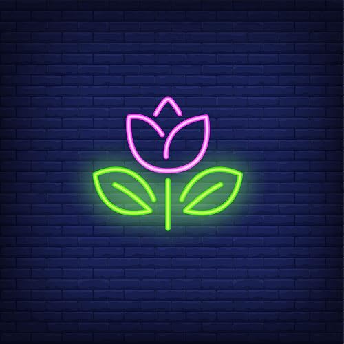 FireFly Home and Décor Designer Neon LED Signage Wall Light Hanging Decoration for Kids Room, Living Room, Special Occasion and Holidays 12V Power