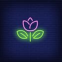 FireFly Home and Décor Designer Neon LED Signage Wall Light Hanging Decoration for Kids Room, Living Room, Special Occasion and Holidays 12V Power