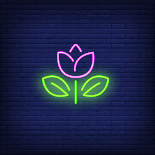 FireFly Home and Décor Designer Neon LED Signage Wall Light Hanging Decoration for Kids Room, Living Room, Special Occasion and Holidays 12V Power