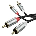 RCA Phono Cable 2 Male to 2 Male RCA Cable 10.3 Feet [24K Gold Plated, Copper Core] 2 RCA Plug to 2 RCA Plug for Home Theater, HDTV, Amplifiers, Hi-Fi