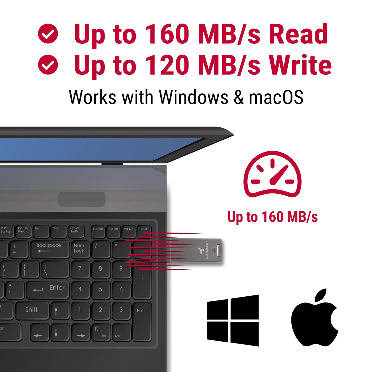 DataLocker DL GO Encrypted USB Flash Drive | USB 3.2 Gen 1 | AES 256-bit XTS | FIPS 197 | IP68 Rugged | TAA Compliant - 16GB