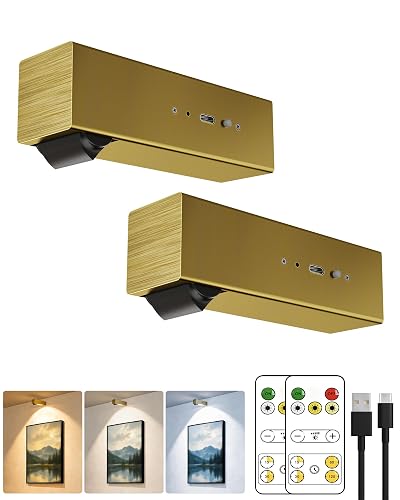 LYTARA Picture Lights for Wall, 2 Pack Metal Rechargeable 5000mAh Battery Lights with 60° Pivoting Head, Remote, Timer, 3 CCTs & Dimmable Magnetic LED
