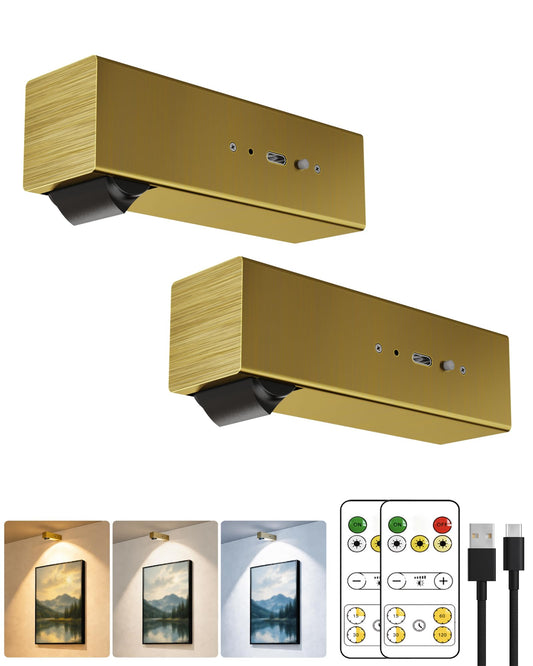 LYTARA Picture Lights for Wall, 2 Pack Metal Rechargeable 5000mAh Battery Lights with 60° Pivoting Head, Remote, Timer, 3 CCTs & Dimmable Magnetic LED