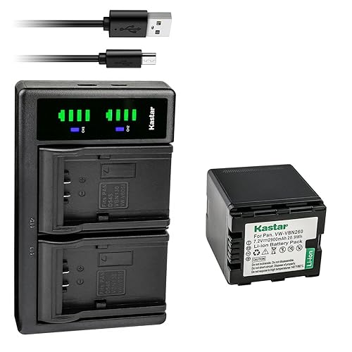Kastar 1-Pack VW-VBN260 Battery and LTD2 USB Charger Replacement for Panasonic HDC-SD900, HDC-SD909, HDC-TM900, HDC-TM900GK, HDC-TM900GK-3D