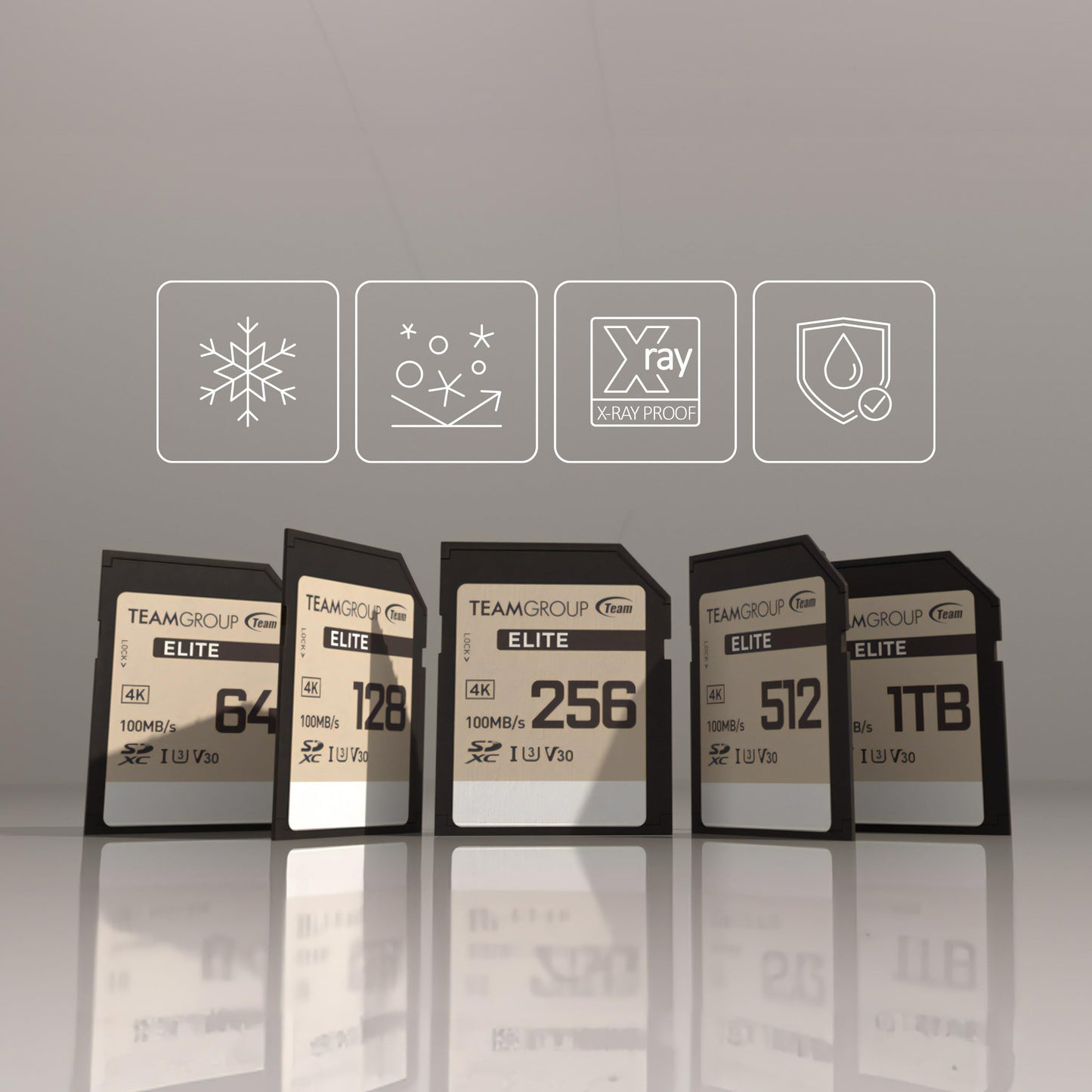 TEAMGROUP Elite 256GB UHS-I U3 V30 UHD Read Speed up to 100MB/s SDXC High Speed 4K Memory Card Compatible with Canon Sony Nikon Panasonic FUJIFILM