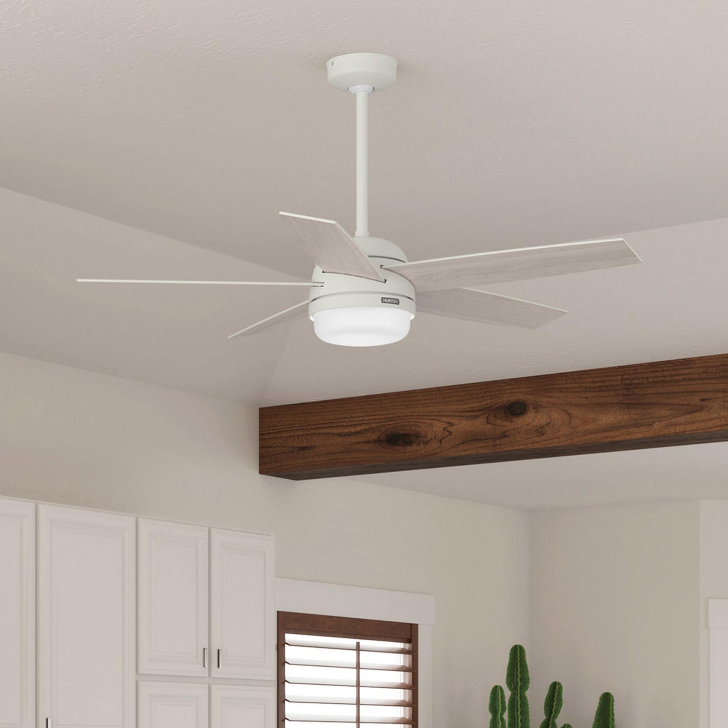 Hunter Fan 52 inch Ceiling Fan with Lights and Remote, Outdoor or Indoor White Ceiling Fan for Porch, Living Room, Office, Kitchen, Basement (Renewed)