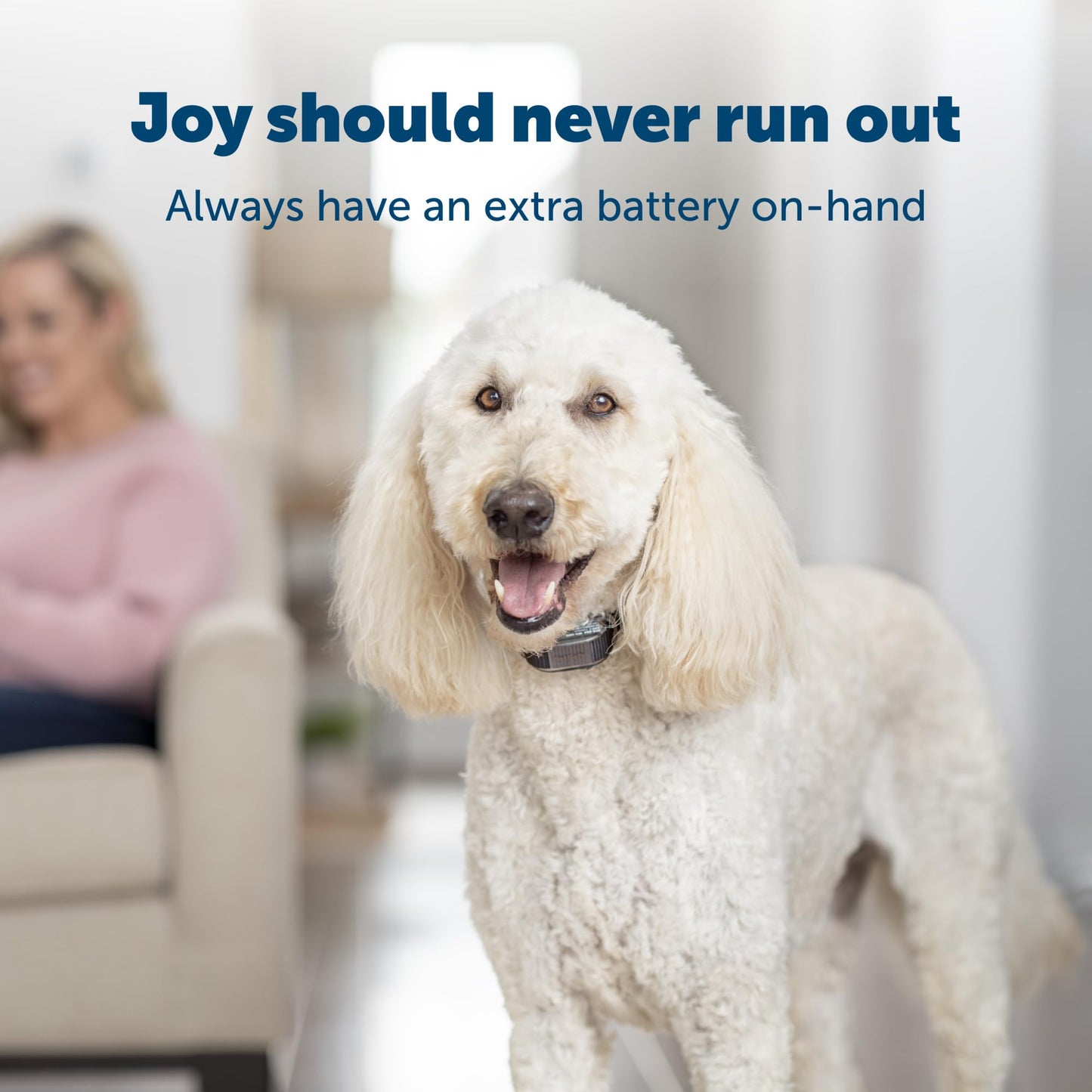 PetSafe 3-Volt Replacement Battery - Long Lasting - for Bark Control & Fence Collars - Reliable Performance - Easy Installation - Non-Rechargeable…