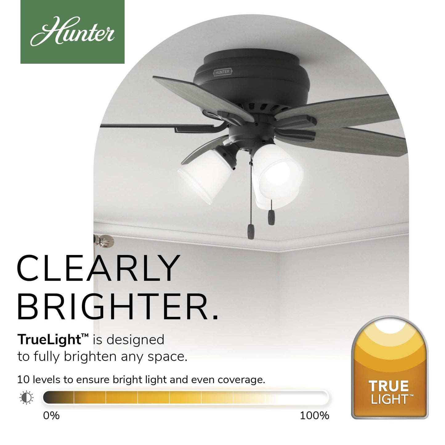 Hunter Newsome, Indoor, Ceiling Fan, with LED Lights, 42 inch, Matte Black