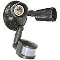 HALO 180 Degree 200W Par Motion-Activated Security Floodlight, Bronze