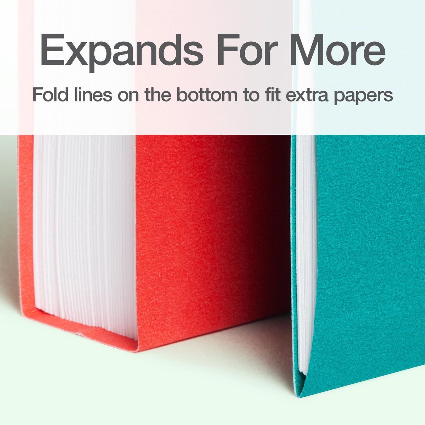 Oxford Hanging File Folders, 25 Pack, Letter Size (8.5" x 11"), 4 Tropical Colors, 5 Tab Positions, Includes Tabs and Inserts, Hanging Files