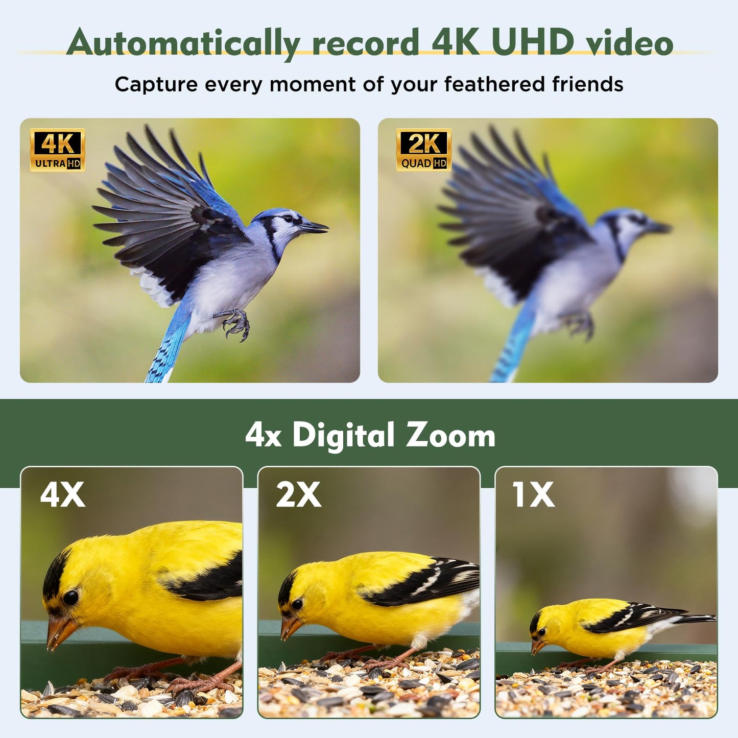 Hibird 4K HD Smart Bird Feeder with Camera Solar Powered, 2.4GHz/5GHz Dual WiFi Auto Capture Bird Video, Real-time Notifications & Live Streaming, AI