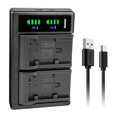 Kastar LTD2 USB Battery Charger Replacement for Canon VIXIA HF S100 HFS100, VIXIA HF S200 HFS200, VIXIA HF10, VIXIA HF11, Canon BP-809 BP809 BP-809/B