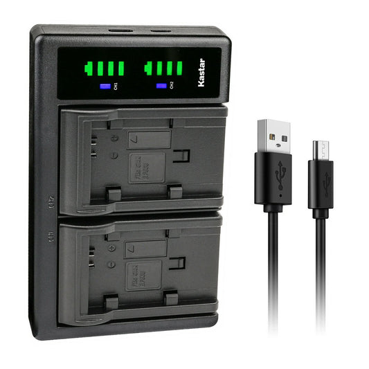 Kastar LTD2 USB Battery Charger Replacement for Canon VIXIA HF S100 HFS100, VIXIA HF S200 HFS200, VIXIA HF10, VIXIA HF11, Canon BP-809 BP809 BP-809/B