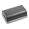 Battery for JVC Everio GZ-MG630, GZ-MG630AU, GZ-MG630RU, GZ-MG630SU Camcorder