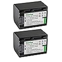 Kastar NPFH70 Battery (2-Pack) for Sony NP-FH100, FH60, FH70, NP-FH90, TRV and Sony DCR-DVD405 407E 408 410E 450 602E 610 650E DCR-HC96 DCR-SR85