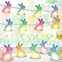 8.5FT Easter Decorations Bunny Lights, 10Pcs LED Pastel Easter Bunny Lights Plug in, Easters Light String for Spring Themed Party Garden Patio Easters