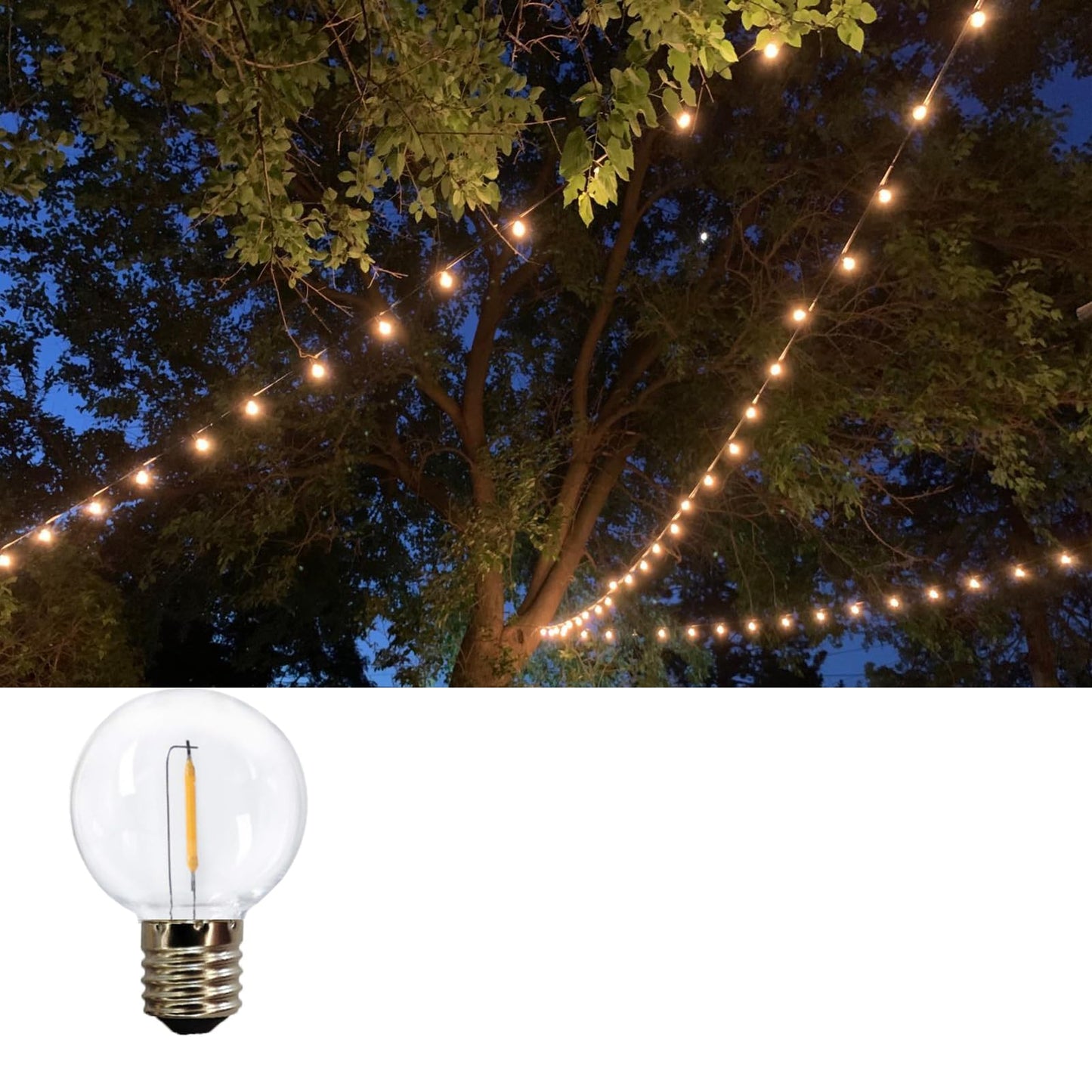 G40 Globe Replacement Bulbs C9/E17 Intermediate Base 1W G40 Shatterproof Waterproof Clear Plastic LED Filament Bulb Warm White 2700K Outdoor String