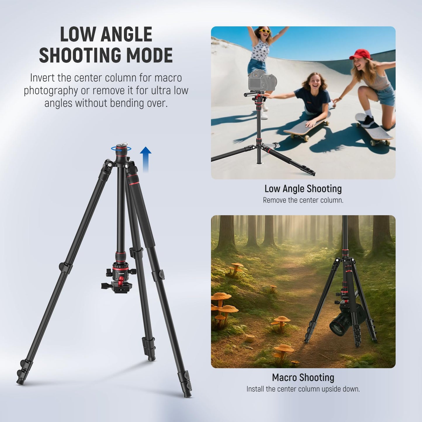NEEWER Basics Camera Tripod Monopod, 77" Compact Lightweight Travel DSLR Video Stand, 360° Ball Head, Arca Type QR Plate, Reversible Legs & Inverted