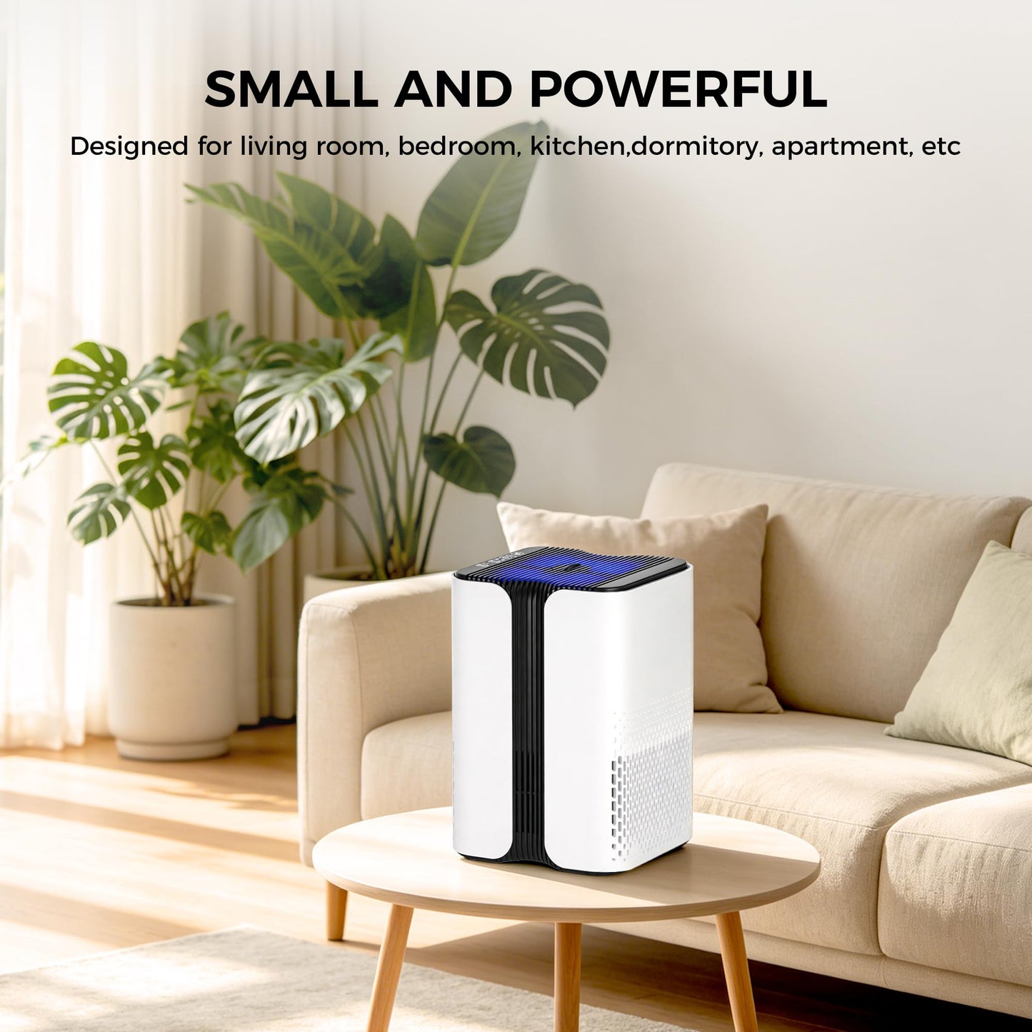 Home Air Purifiers SIESEAN Desktop Air Purifier for Bedroom, Small Room & Office, True HEPA Air Cleaner with Essential Oil Diffuser & Ambient Night