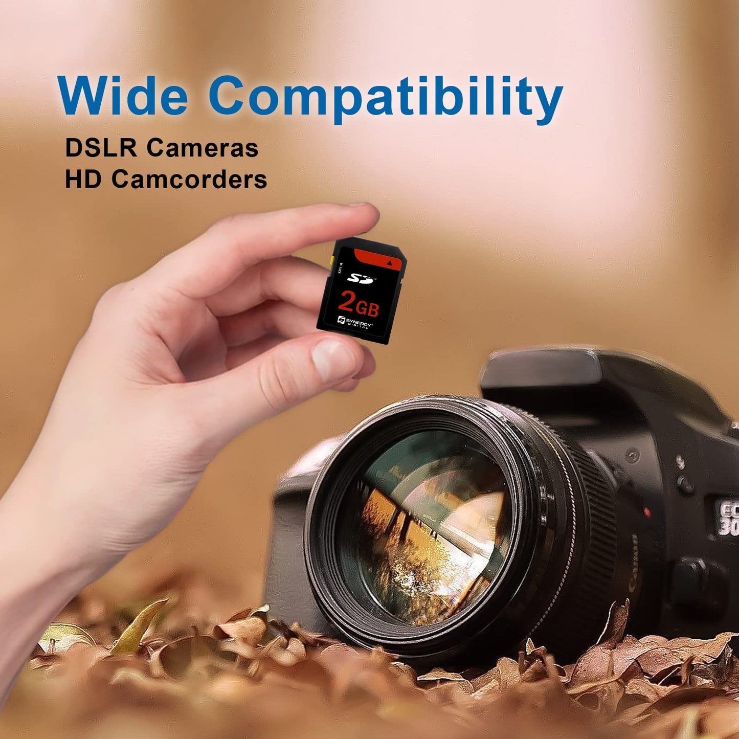Panasonic Lumix DMC-TZ1 Digital Camera Memory Card 2GB Standard Secure Digital (SD) Memory Card