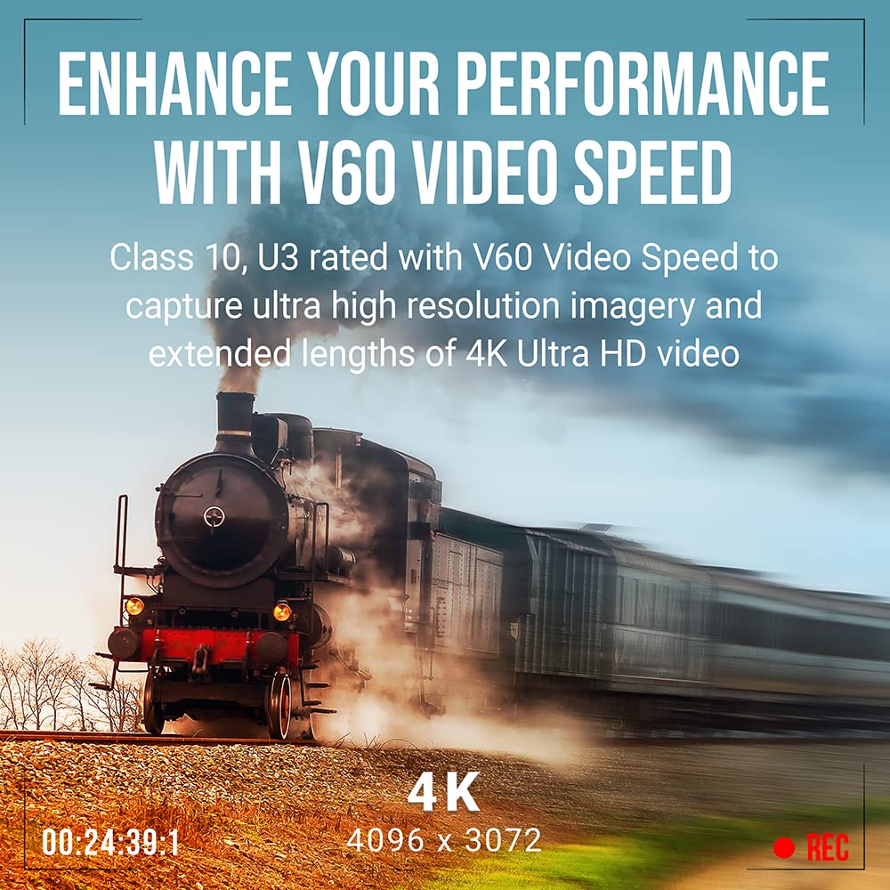 PNY 256GB EliteX-PRO60 UHS-II SDXC Memory Card - R280MB/s W180MB/s, U3, V60, 4K UHD, Full HD, UHS-II for Professional Photographers & Content
