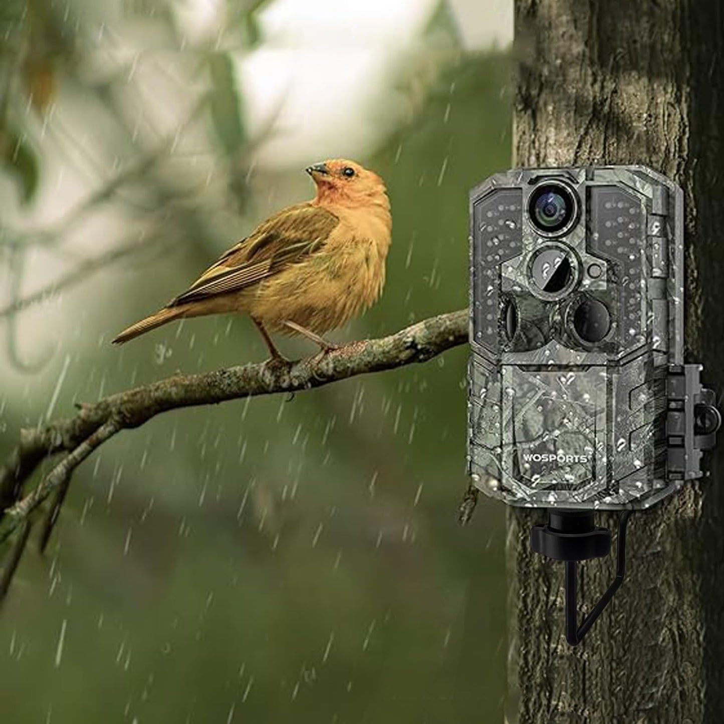 Sexoeie 360-Degree Trail Camera Mount, Metal Hunting Camera Holder with Adjustable Head, Outdoor Mounting Bracket for Wildlife Monitoring (3)