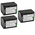 Kastar 3-Pack NP-FV70 Battery Replacement for Sony HDR-PJ200, HDR-PJ220, HDR-PJ230, HDR-PJ260, HDR-PJ26, HDR-PJ30, HDR-PJ320, HDR-PJ330, HDR-PJ340