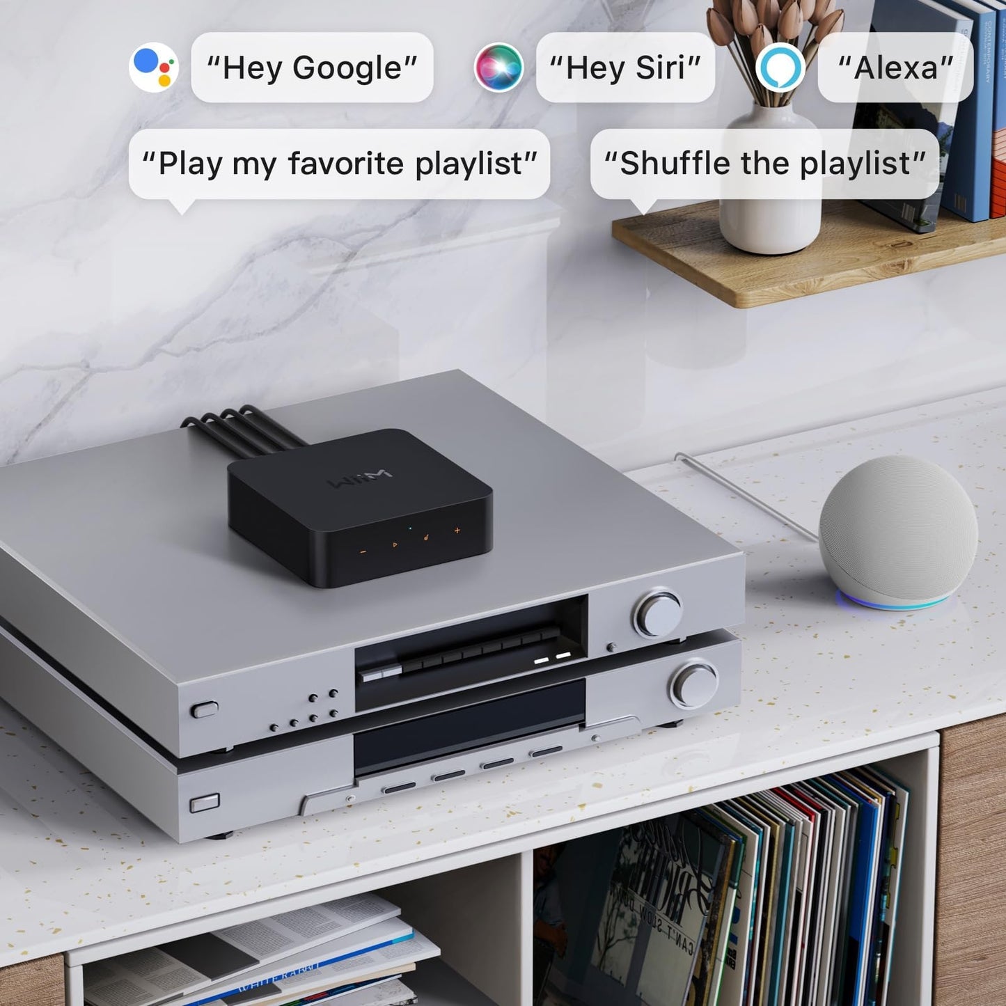 WiiM Pro AirPlay 2 Receiver, Google Cast Audio, WiFi Multiroom Streamer, Compatible with Alexa, Siri and Google Assistant, Stream Hi-Res Audio from