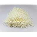 1000 Ea 8 Inches Mount Head Screw Nail Hole Cable Zip Wire Tie 50 Lbs Natural Nylon
