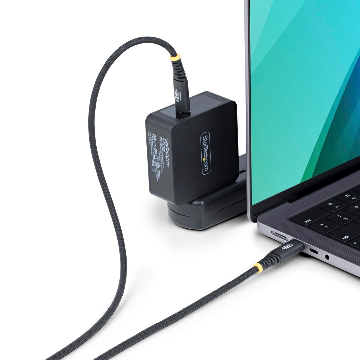 StarTech 10ft/3m USB-C to USB-C Charging Cable, Black (S2CEPR10F-USB-CABLE)