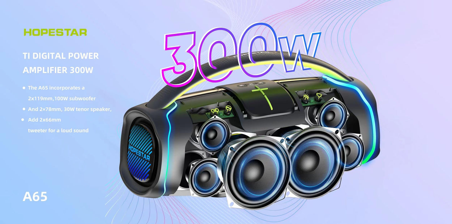 300W Portable Speaker with Handle & Microphone (Gray)