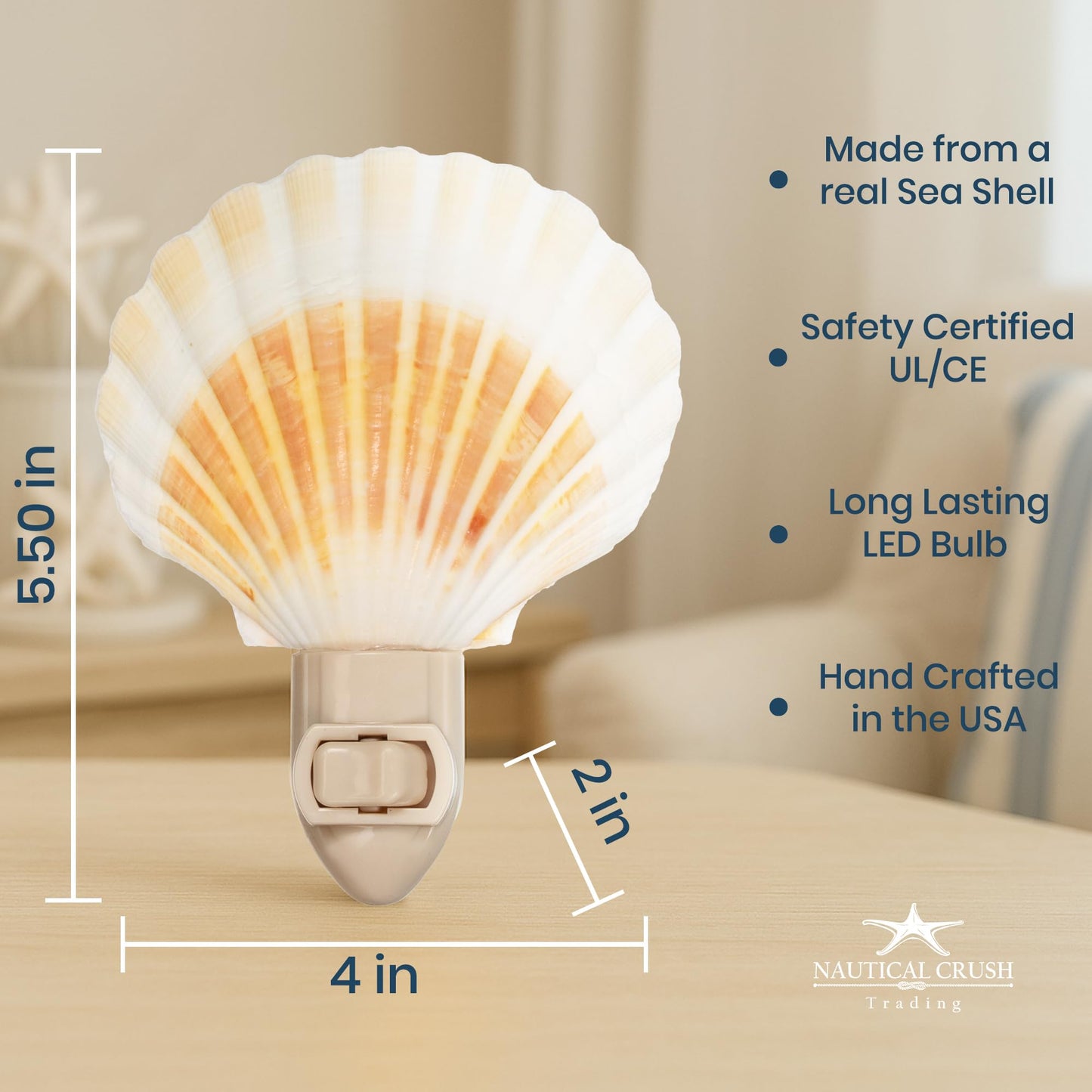 Nautical Crush Trading Seashell Night Light - Beach Night Light with Natural Clam Shell Light for Bathroom - Sea Shell Lamp - Seashell Lamp Plug Into