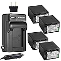 Kastar NP-FV100 Battery (4X) + Charger for DCR-SR21, SR68, SR88, SX15, SX21, SX44, SX45, SX63, SX65, SX83, SX85, HDR-CX110, CX115, CX130, CX150