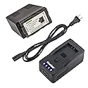 Kastar LED Super Fast Charger & Battery Replacement for Panasonic VW-VBG6 Panasonic AG-AC160A, AG-AC7, AG-AC130A, AG-AC160A, AG-HMC40, AG-HMC70